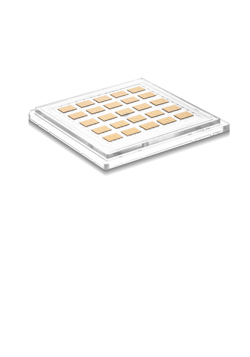 codixx Polarizer codixx Polarizer