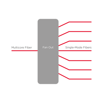 Multicore FIber - Fan Outs Multicore FIber - Fan Outs
